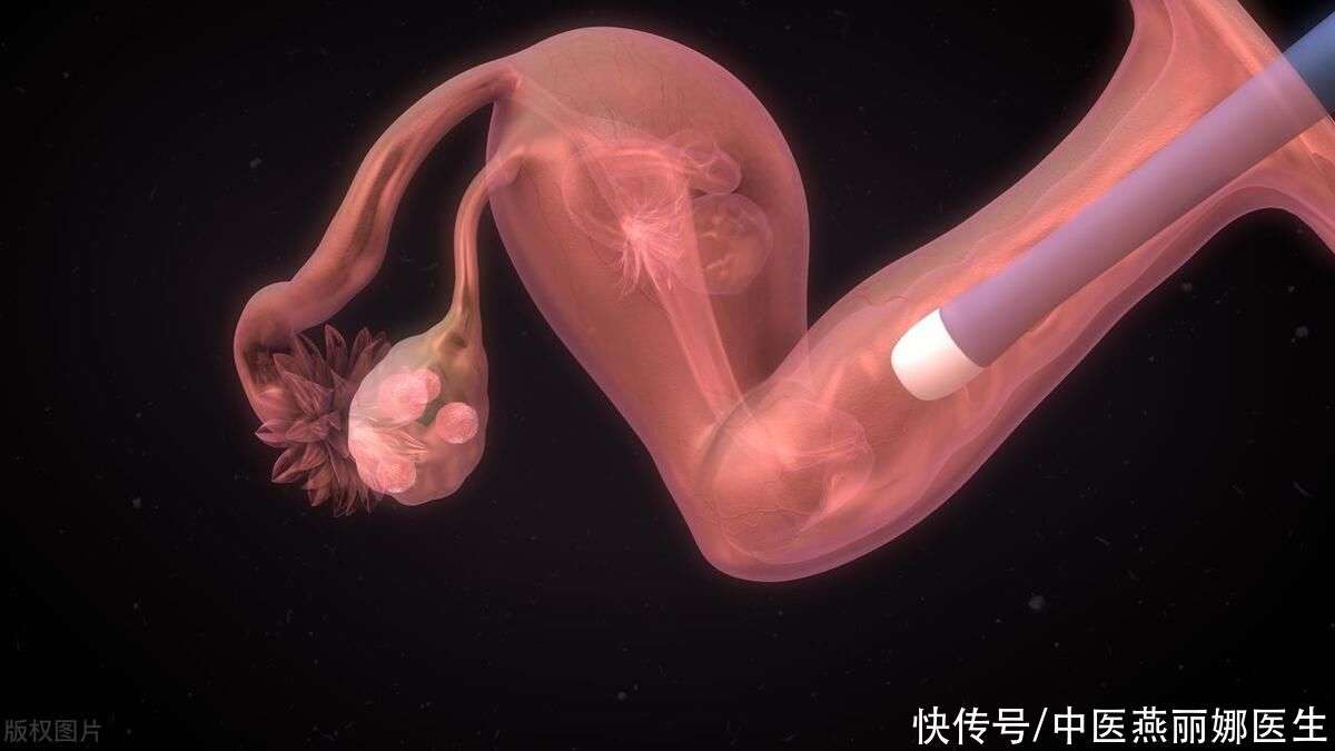 代孕血缘