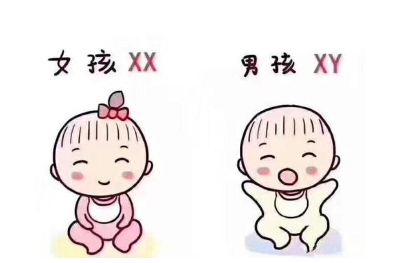 代孕