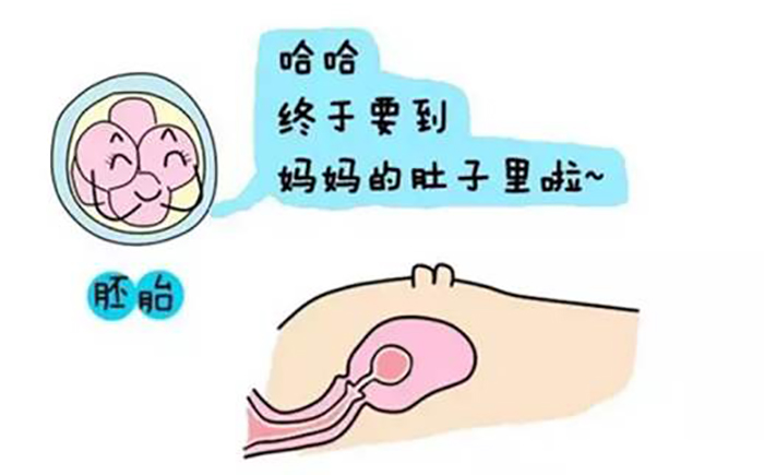 代孕南通