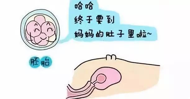 代孕